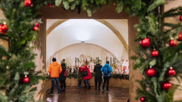 Rund 8.000 Besucher besuchten am Jubiläumswochenende das Palais Chotek.